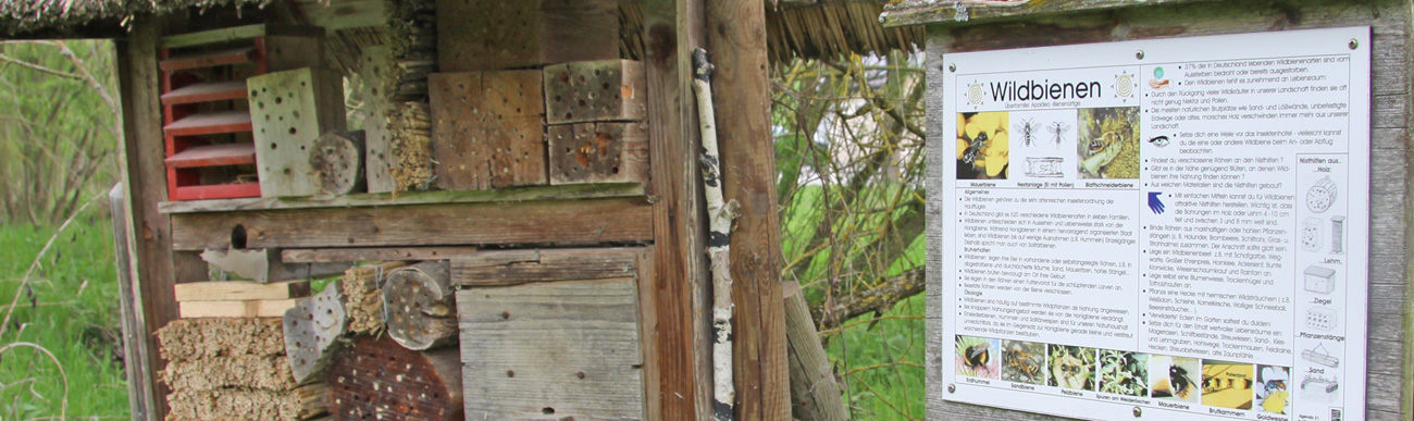 Headerbild 15
