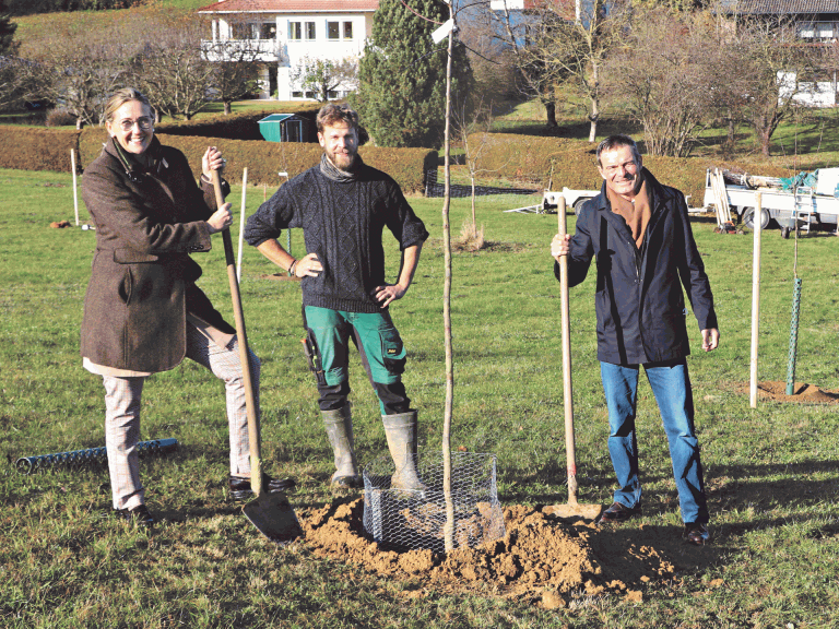 Baumpflanzung vor Ort Nov 2021