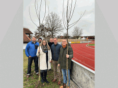 Gemeinsam für Bäume in der Stadt, von links: Geschäftsführer des LPV Tobias Lermer, Baumpflanzer Johannes Haslbeck von ÖkoSilva... Gemeinsam für Bäume in der Stadt, von links: Geschäftsführer des LPV Tobias Lermer, Baumpflanzer Johannes Haslbeck von ÖkoSilva...
